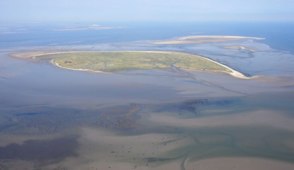 Luftaufnahme der Insel Mellum in der Nordsee.