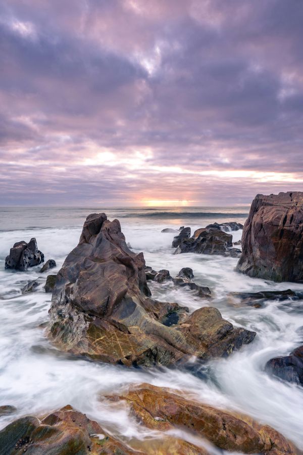 Vilm Sehenswürdigkeiten: Natur und Highlights der Insel entdecken