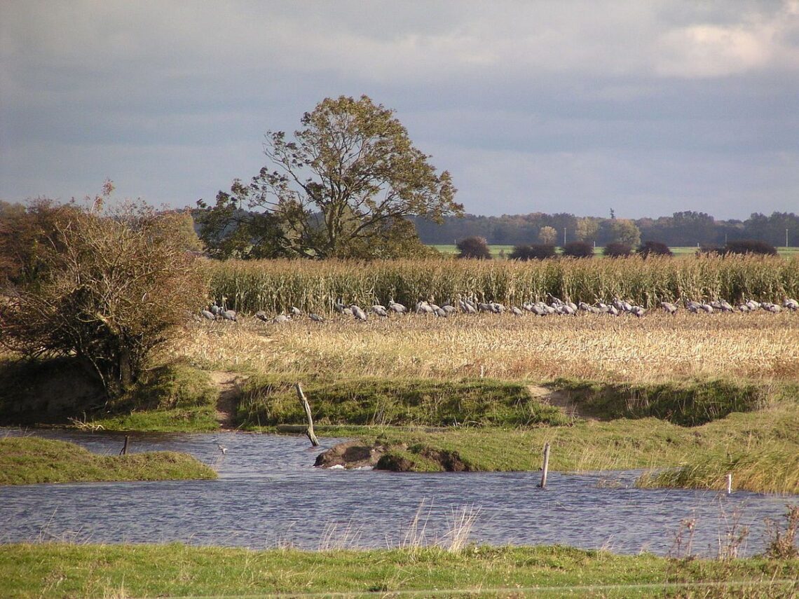 Ummanz Sehenswürdigkeiten: malerische Landschaft und historische Bauwerke auf der Insel Ummanz.