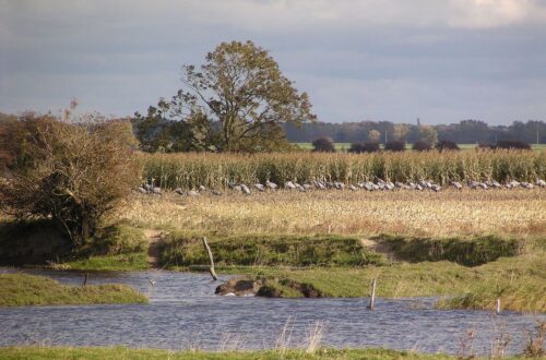 Ummanz Sehenswürdigkeiten: malerische Landschaft und historische Bauwerke auf der Insel Ummanz.