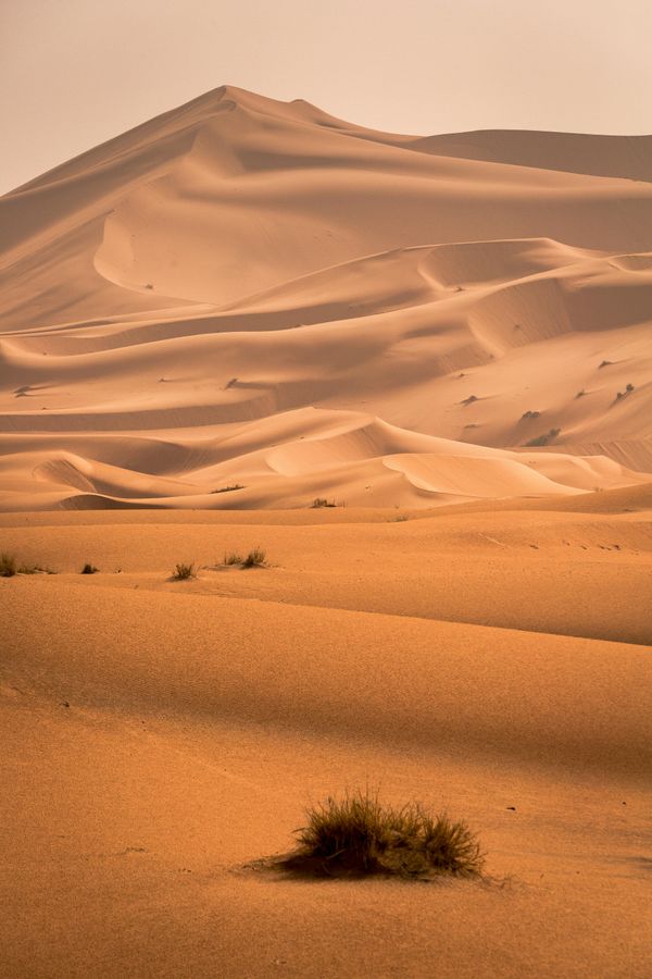 Sanddünen auf Langeoog, eine der faszinierenden Langeoog Sehenswürdigkeiten.