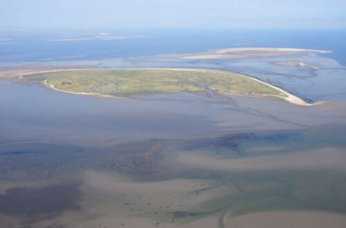 Luftaufnahme der Insel Mellum in der Nordsee.