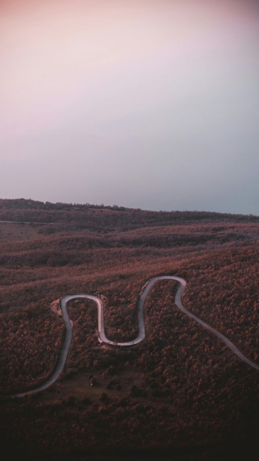 Naturreservat Langenwerder Sehenswürdigkeiten mit malerischer Landschaft und vielfältiger Tierwelt.