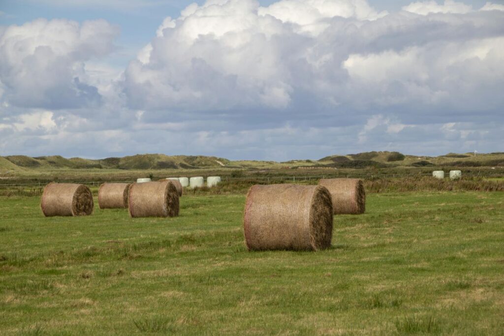 Amrum Sehenswürdigkeiten: Naturkulisse auf Amrum mit malerischen Landschaften