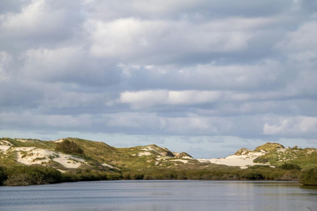 Amrum Sehenswürdigkeiten: Dünenlandschaft auf Amrum.