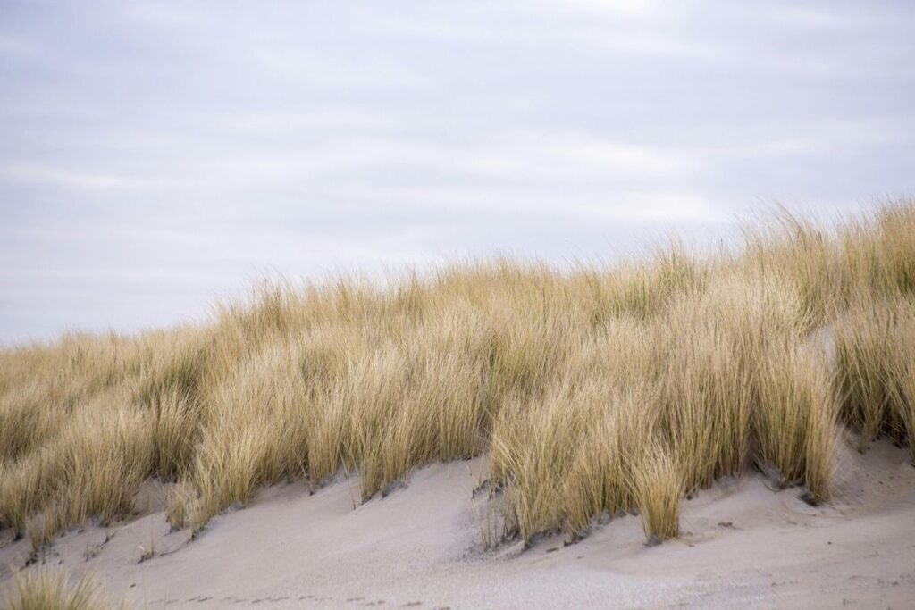 Dünenlandschaft auf Sylt, eine der faszinierenden Sylt Sehenswürdigkeiten.